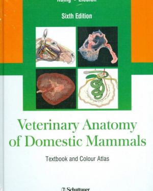 Veterinary Anatomy of Domestic Mammals-  Konig, Liebich