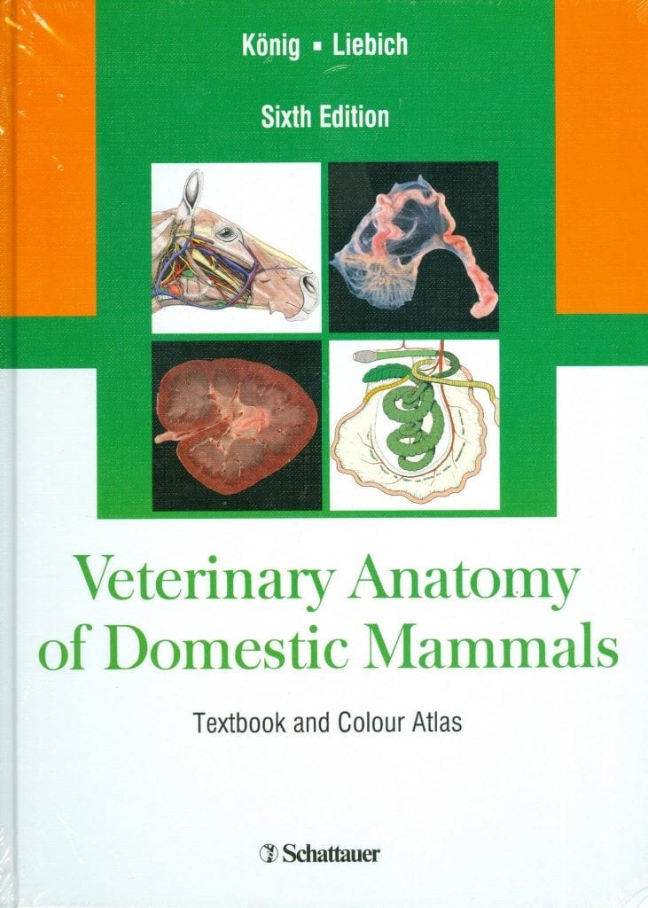 Veterinary Anatomy of Domestic Mammals-  Konig, Liebich